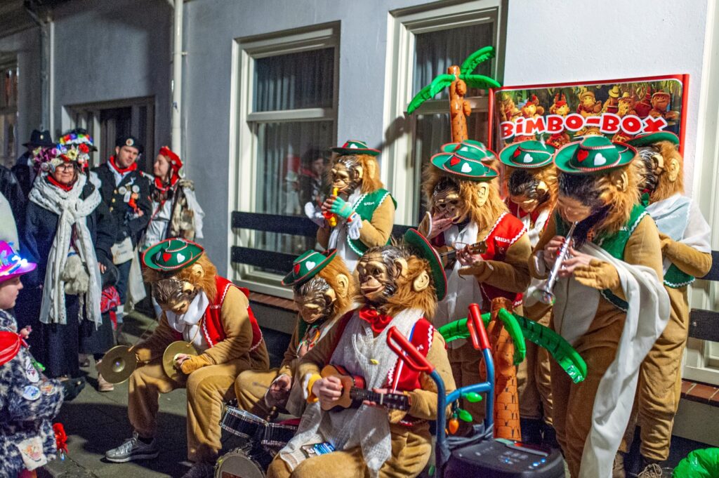 Carnavalsviering met gemaskerde muziekgroep - Bergen op Zoom