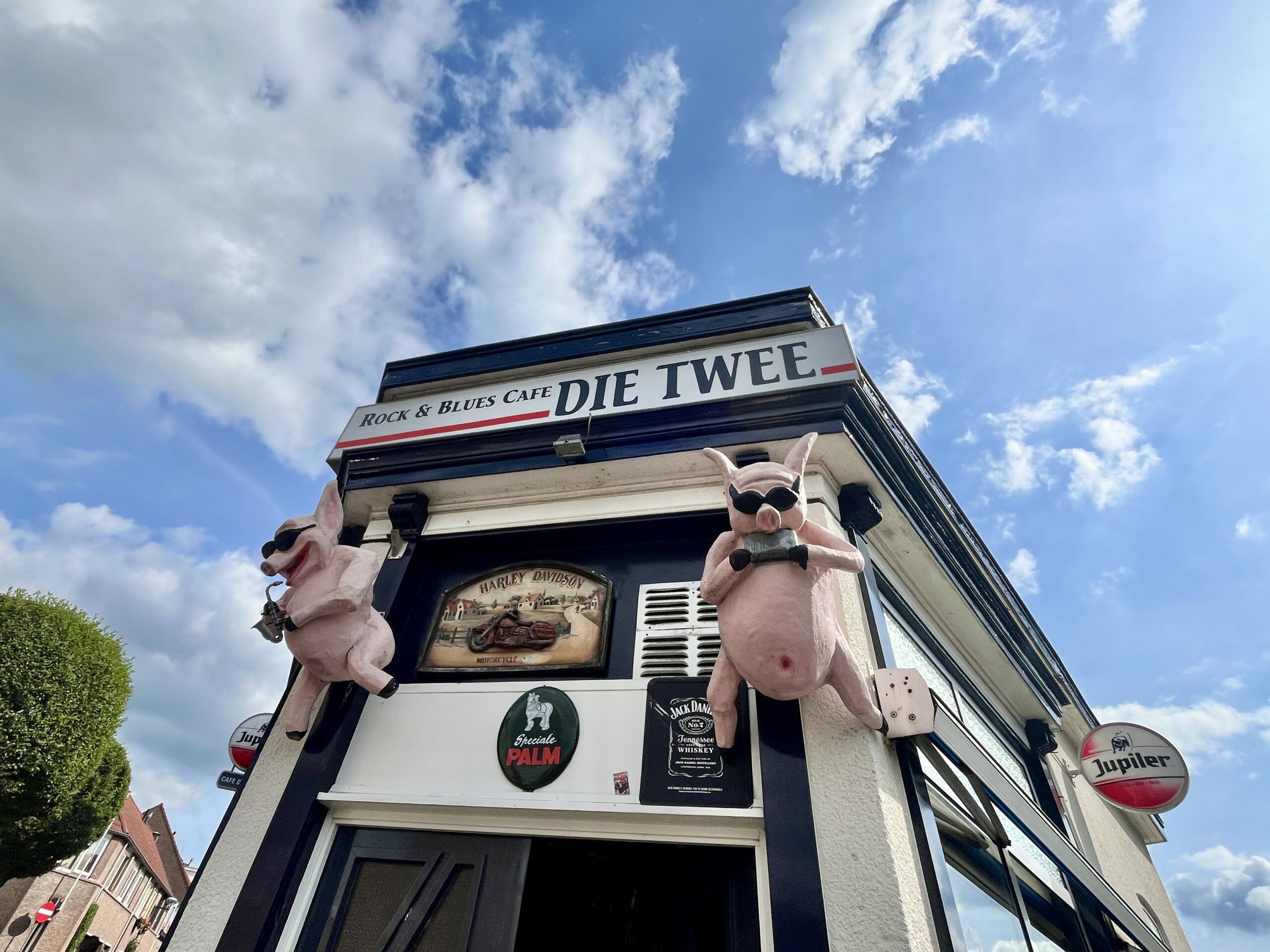 Café met grappige varkensbeelden aan gevel - Bergen op Zoom