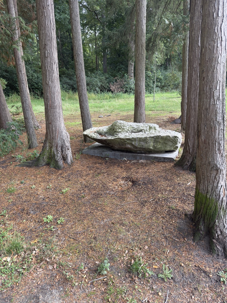 Zwerfsteen omringd door bomen in bos - Bergen op Zoom