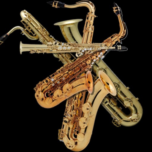 Saxofoons in verschillende stijlen en maten - Bergen op Zoom