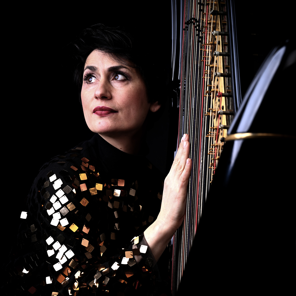 Vrouw met harp en glinsterende jurk - Bergen op Zoom