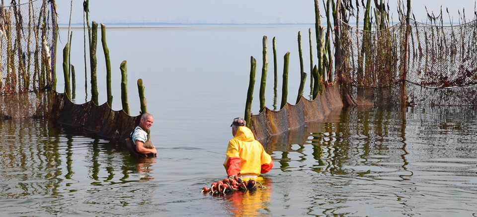 Podium Gradatus presents: Weir Fishing – A unique craft on the Oosterschelde – 22 May 2026